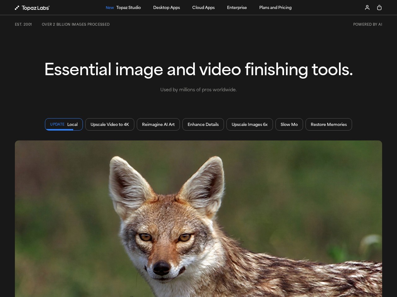 Topaz Labs：专业级 AI 照片与视频增强套件