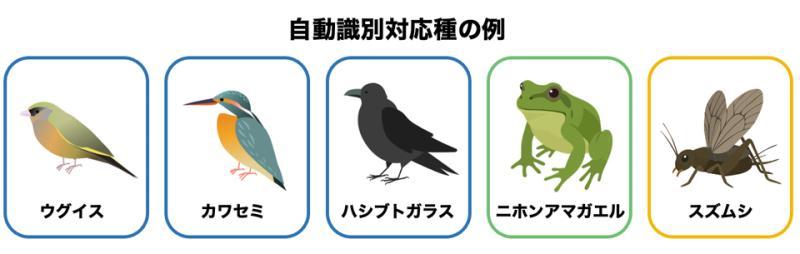 支持种类2