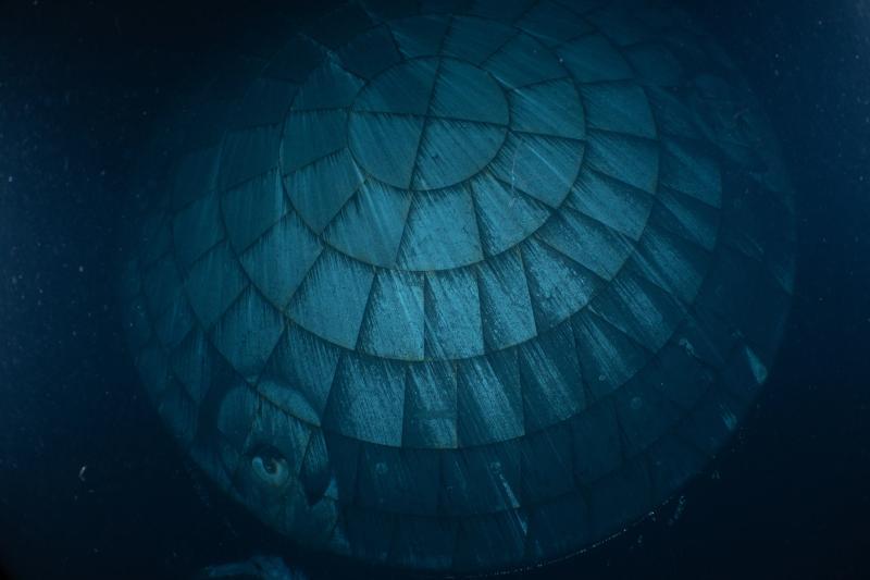 The heat shield from the Orion spacecraft as photographed underwater by divers after its splashdown
