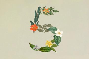Anthropic发布新一代生成式AI模型Claude Sonnet 5