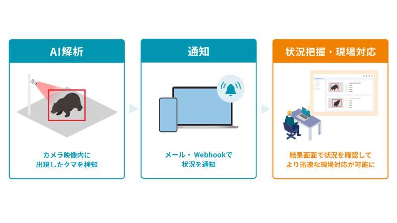 AI-App 熊检测