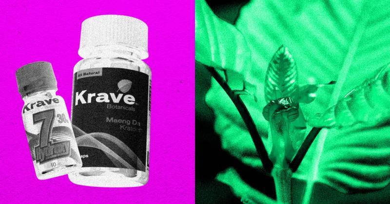 美国缉毒局计划禁止类似阿片类的克拉托姆化合物7-OH