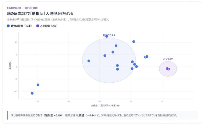 研究团队工作现场