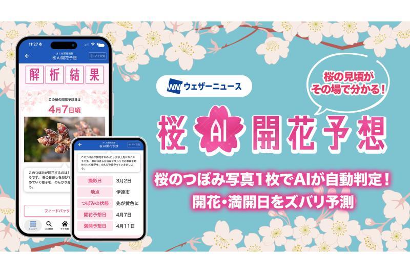日本天气新闻推出“樱花AI开花预测”，通过花蕾照片预测开花与满开日期
