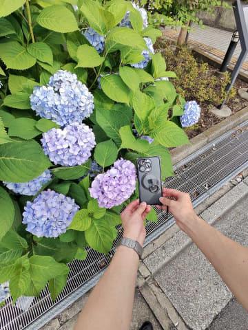 拍摄样张