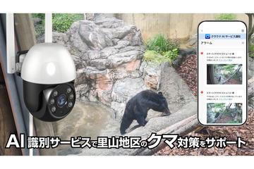 利用AI识别熊类并即时通知手机的“AI云服务”