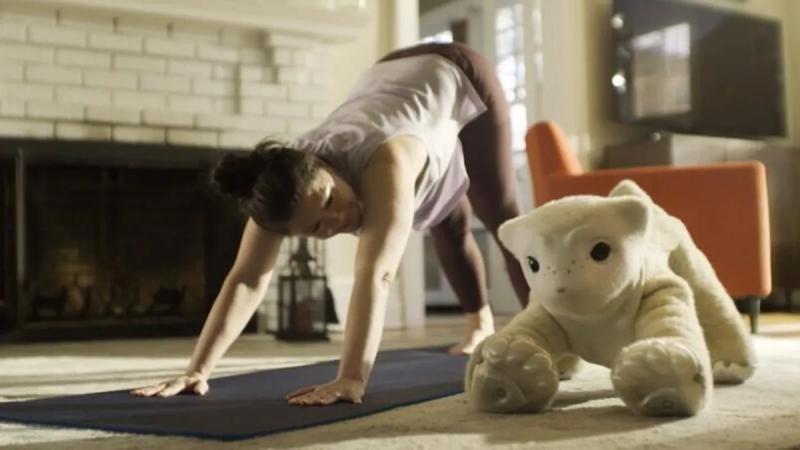 Roomba发明者推出全新AI机器人宠物