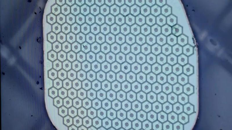 Max Hodak的Science Corp.准备首次将传感器植入人体大脑