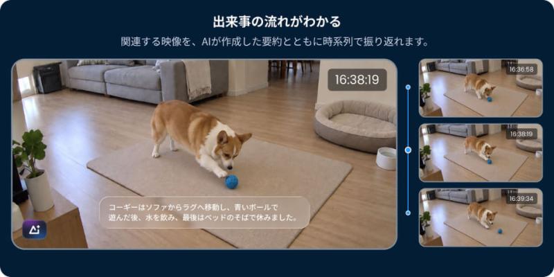 AI守护计划功能展示
