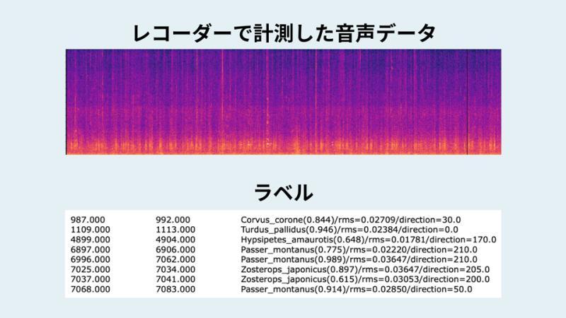 AI自动识别