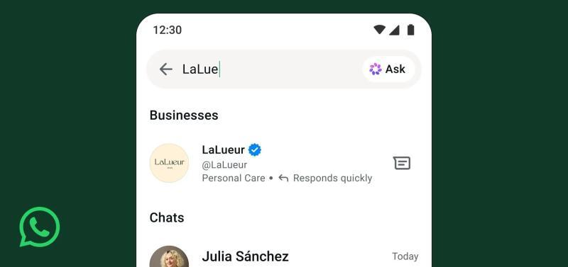 WhatsApp对话示例
