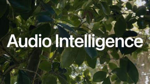 Audio Intelligence