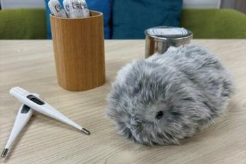 日本立命馆守山中高引入AI宠物机器人“Moflin”，开展心理影响研究