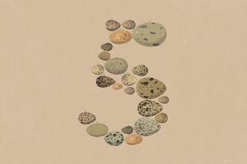 Claude Opus 5发布！性能媲美Claude Fable 5，价格仅为一半
