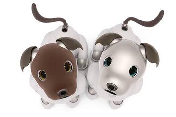 索尼推出限量版aibo可可绒毛款，采用绒面材质手感柔软