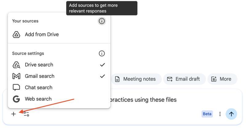 Source controls for Gemini in Google Docs