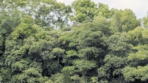 视频对比1