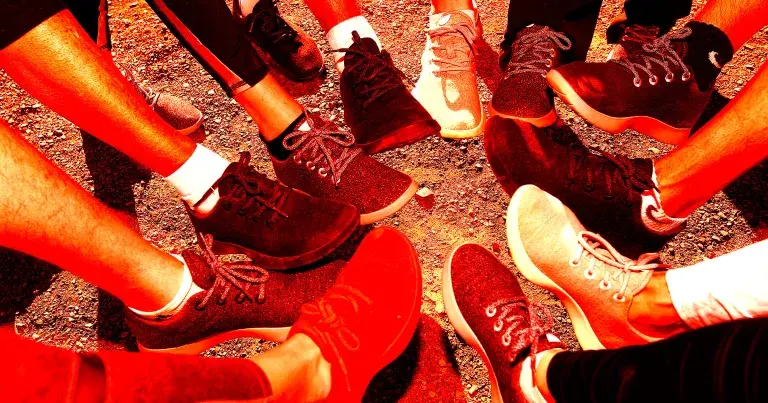 Allbirds股价暴跌，市场开始认清其荒谬的AI转型