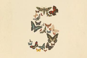 Anthropic暂停Claude Fable 5及Claude Mythos 5的访问权限