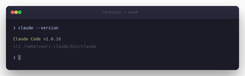 Claude Code version check showing v1.0.16 installed via native method