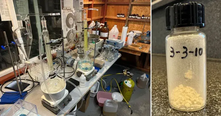 男子称在车库合成出基于ChatGPT配方的新型精神分裂症药物