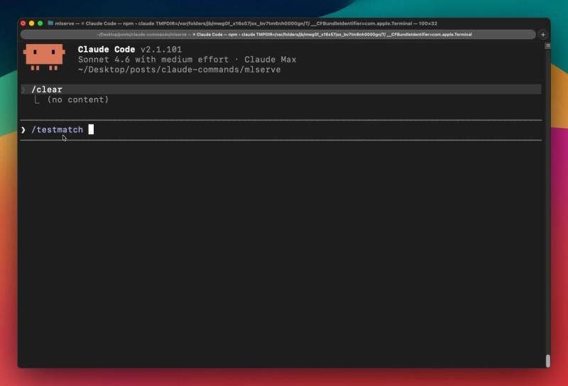 testmatch 示例输出