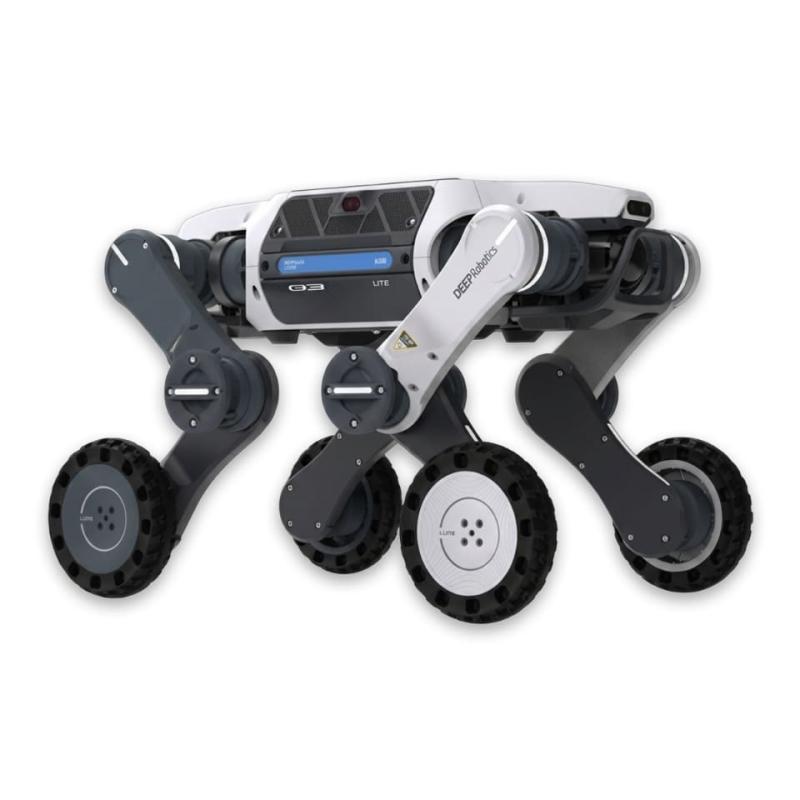 DEEPRobotics Lynx S10