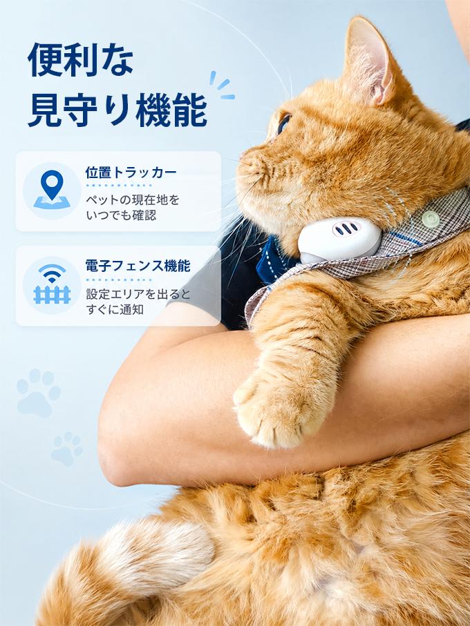 PettiChat使用示意