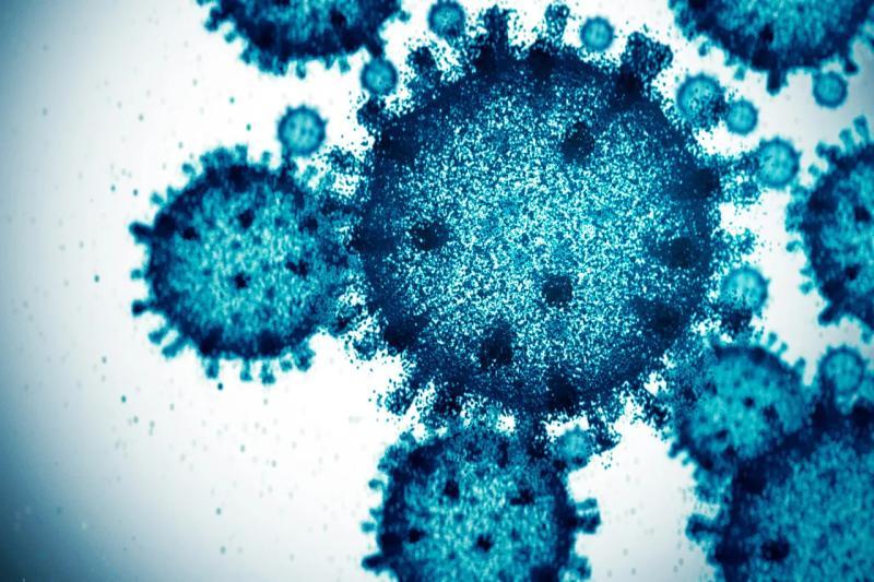 科学家利用人工智能创造出16种新病毒