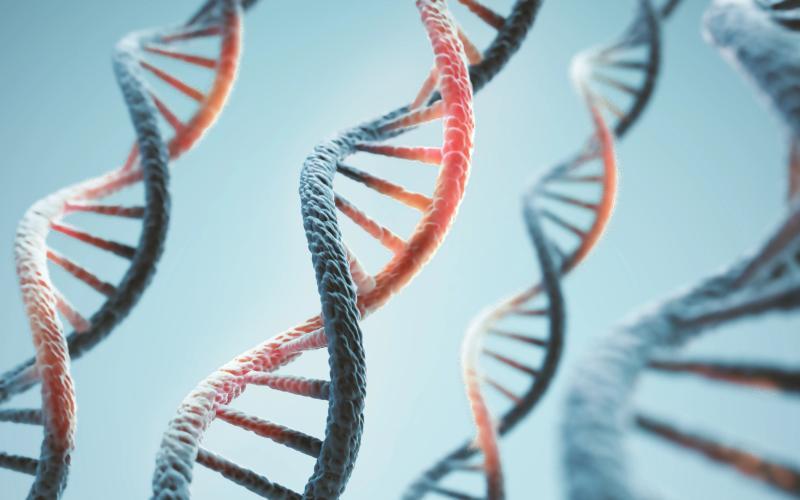 Anthropic在湾区运营生物实验室，结合AI进行实体实验