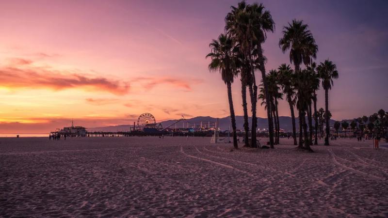 夏日将至，我让AI帮我安排健身、娱乐与音乐日程