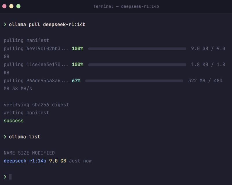 终端下载 DeepSeek R1 模型