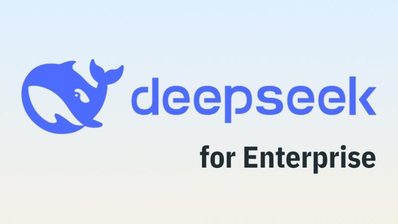 在企业环境中使用 DeepSeek 模型：边界、风险与实践指南