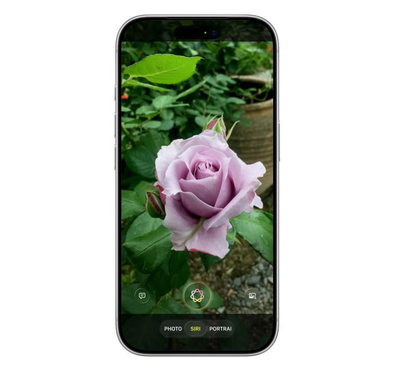 新Siri界面