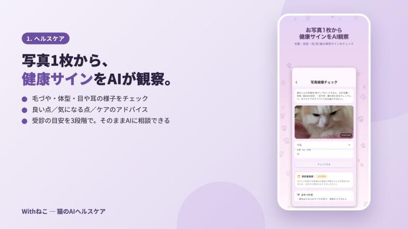 猫咪健康管理应用功能示意