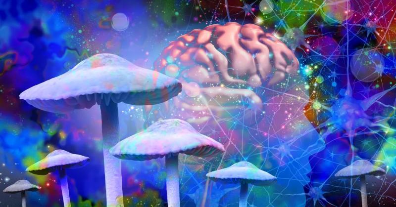 裸盖菇素或使大脑专注于当下体验