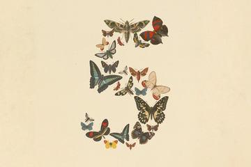 美国商务部解除对“Claude Fable 5”和“Mythos 5”的出口管制