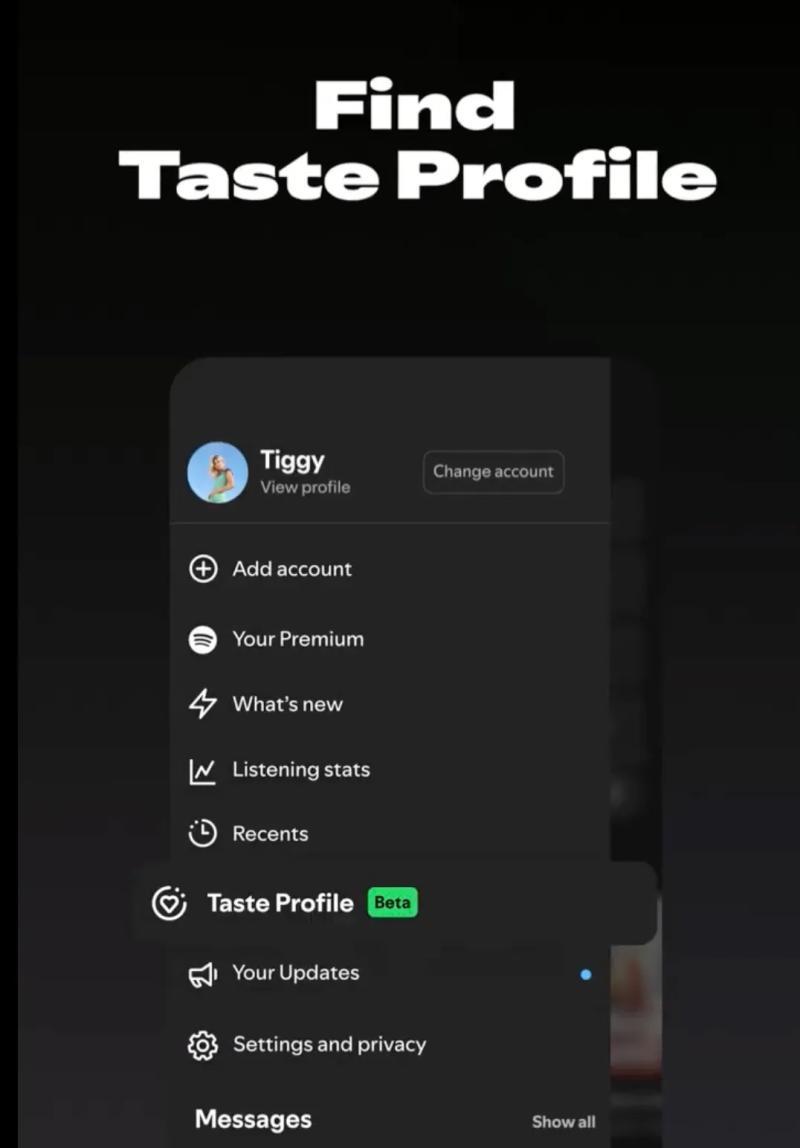 Spotify Taste Profile界面