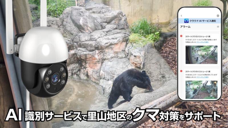 AI云服务示意图