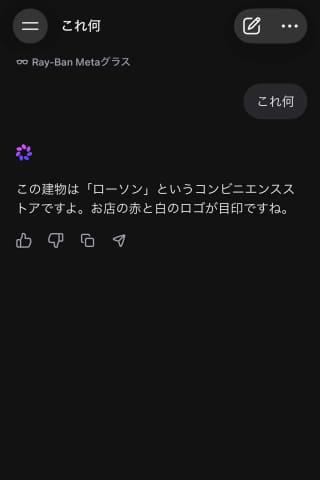 Ray-Ban Meta整体