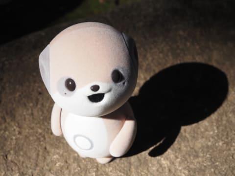 夏普Poketomo SR-C01M