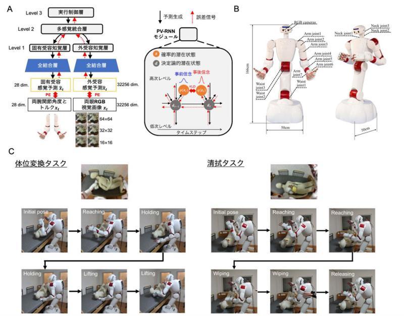 护理动作学习