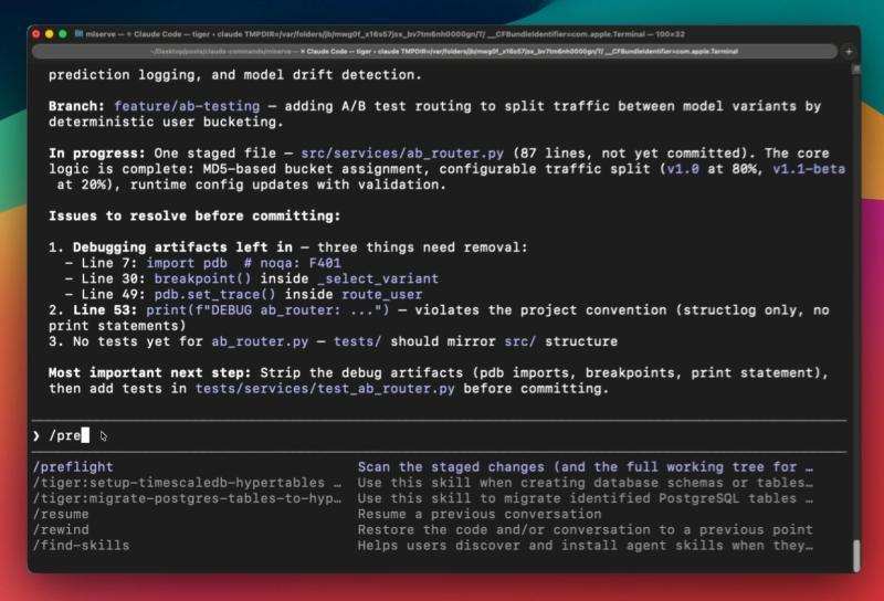 preflight 示例输出