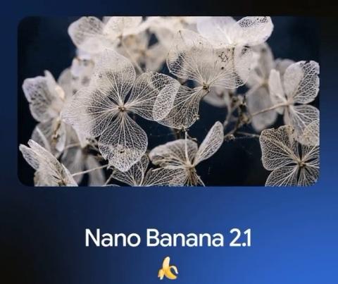 谷歌Nano Banana 2.1