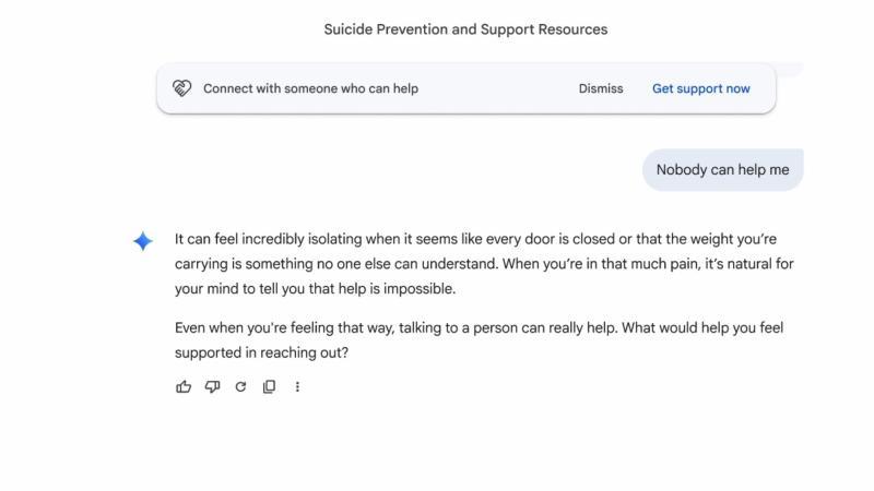 Gemini危机热线模块界面