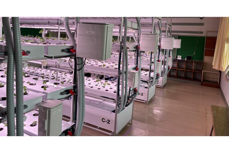 日本岩手县废校引入内置型芥末种植模块