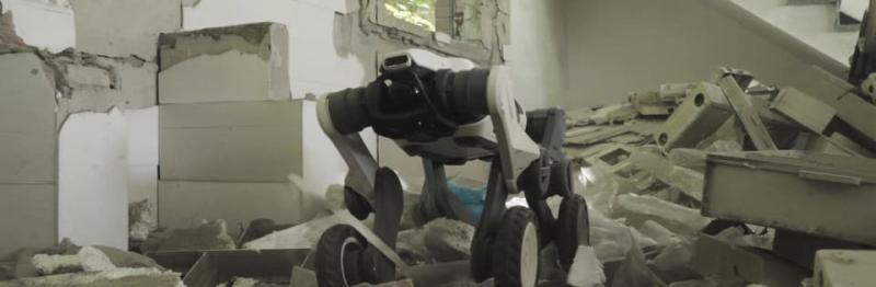 DEEPRobotics Lynx S10