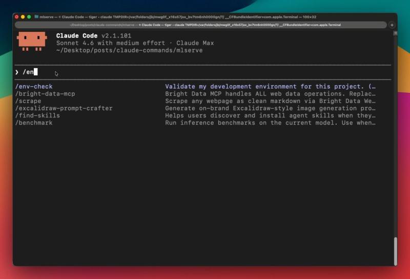 env-check 示例输出