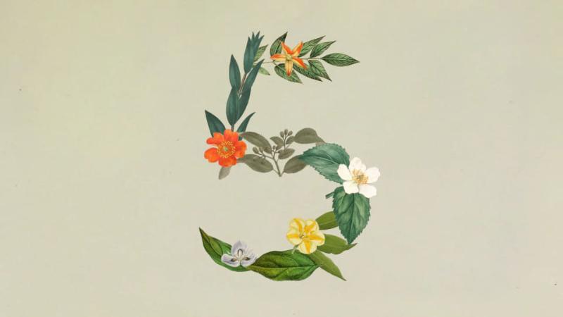 Anthropic Claude Sonnet 5