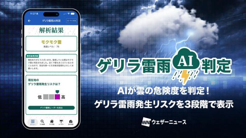 突发雷雨AI判定